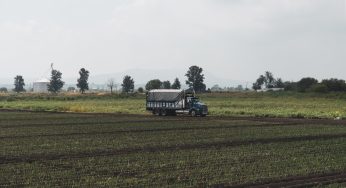 I consumi del settore trasporto merci, come e perché diminuirli