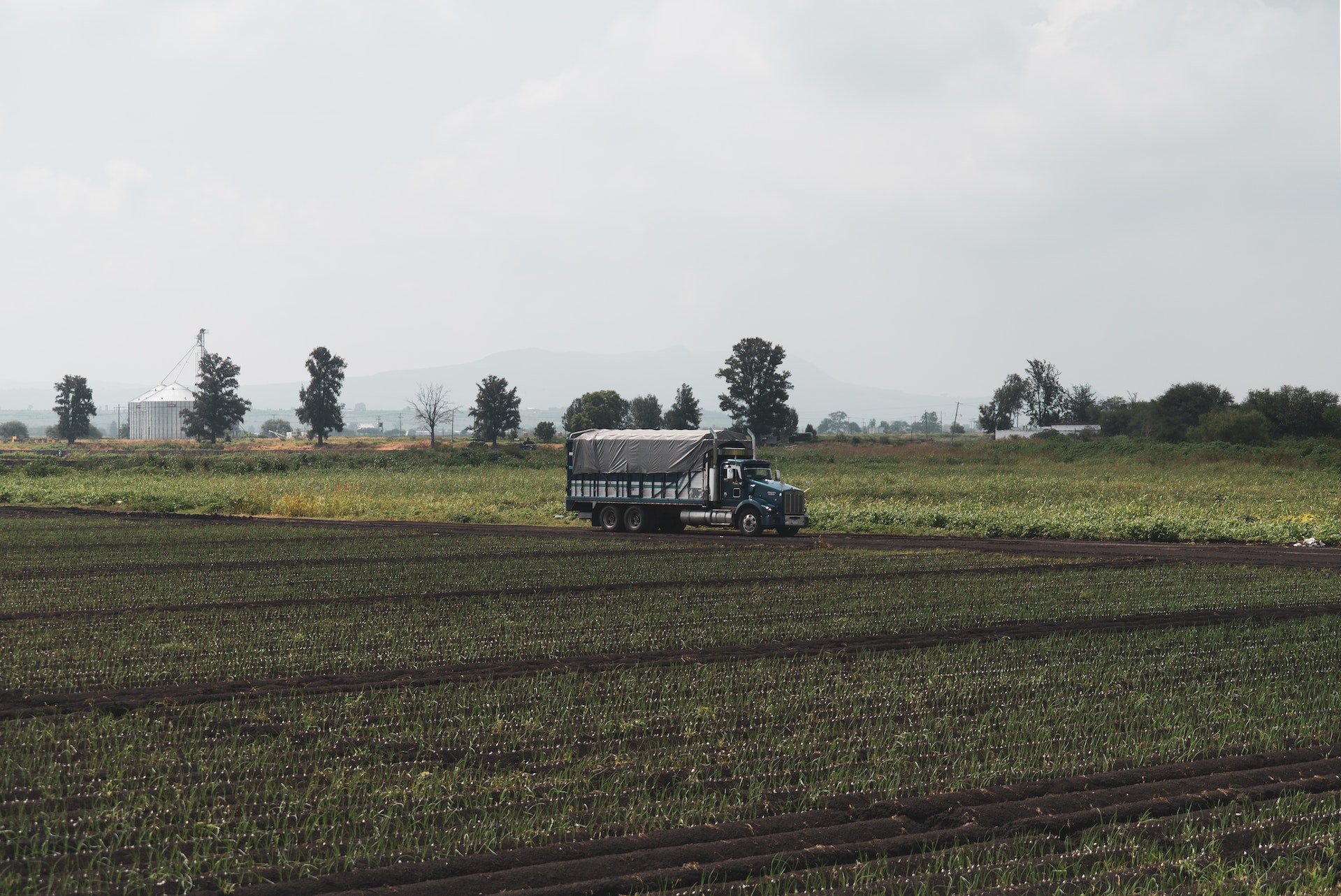 Foto di un camion