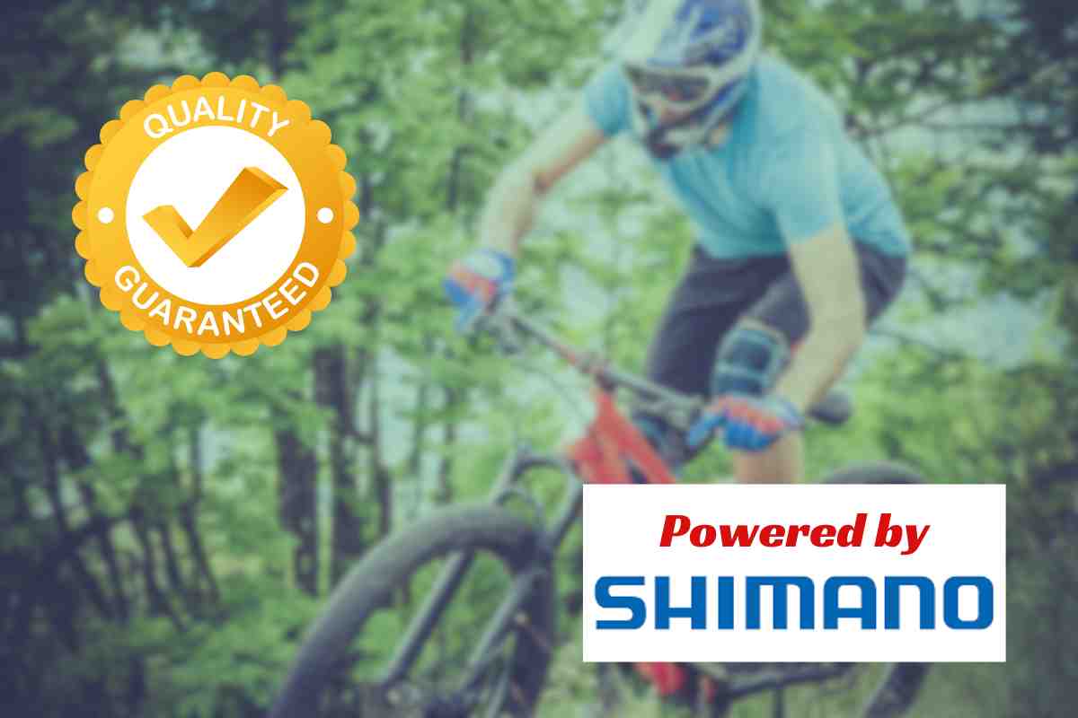 E-Mtb qualità prezzo