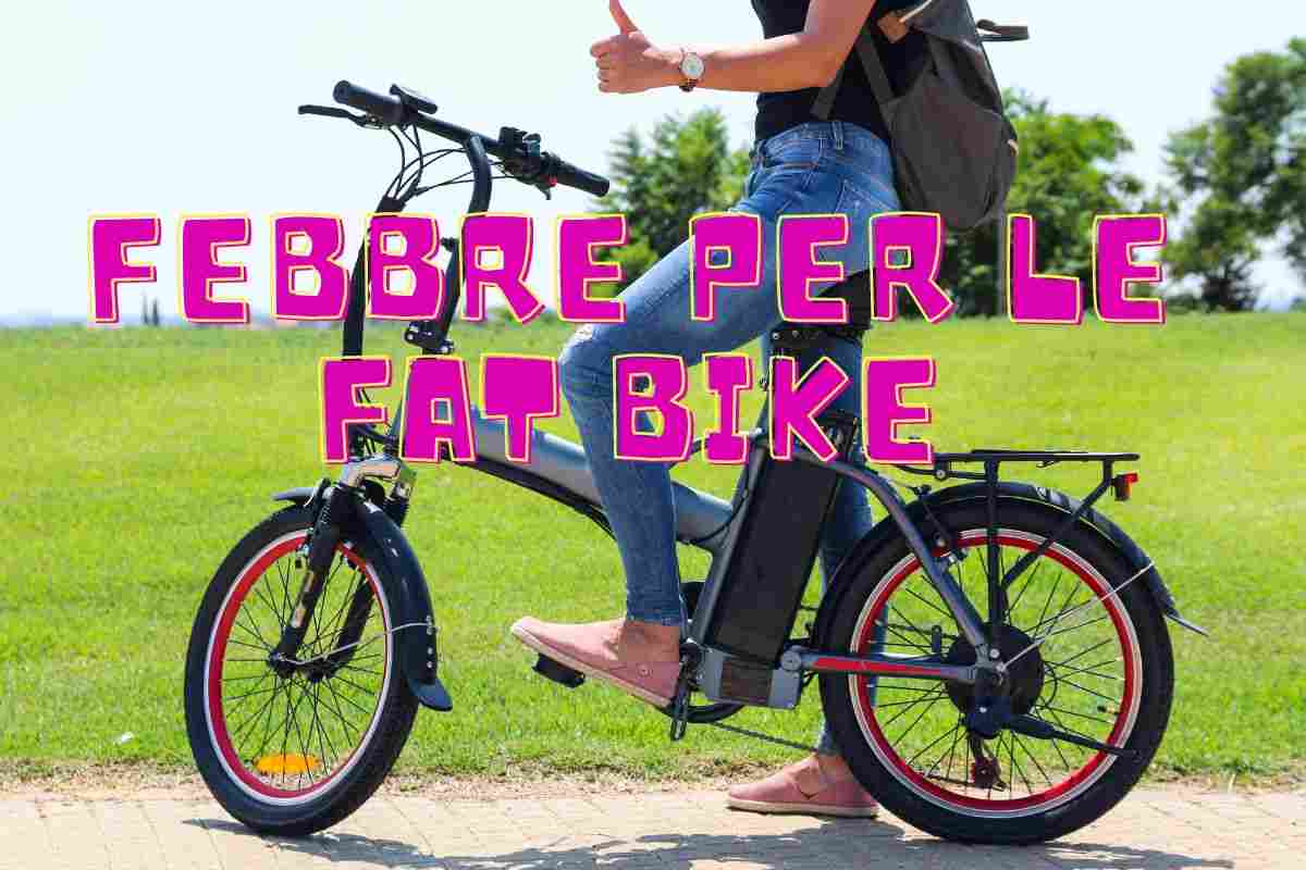 Novità Fat Bike città