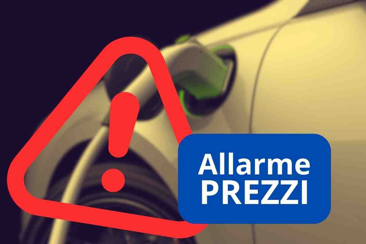 Elettriche troppo care
