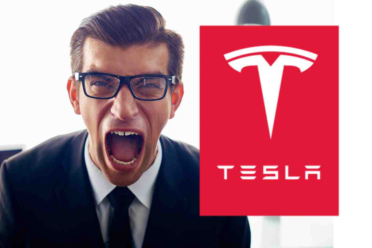 Tesla rivolta clienti