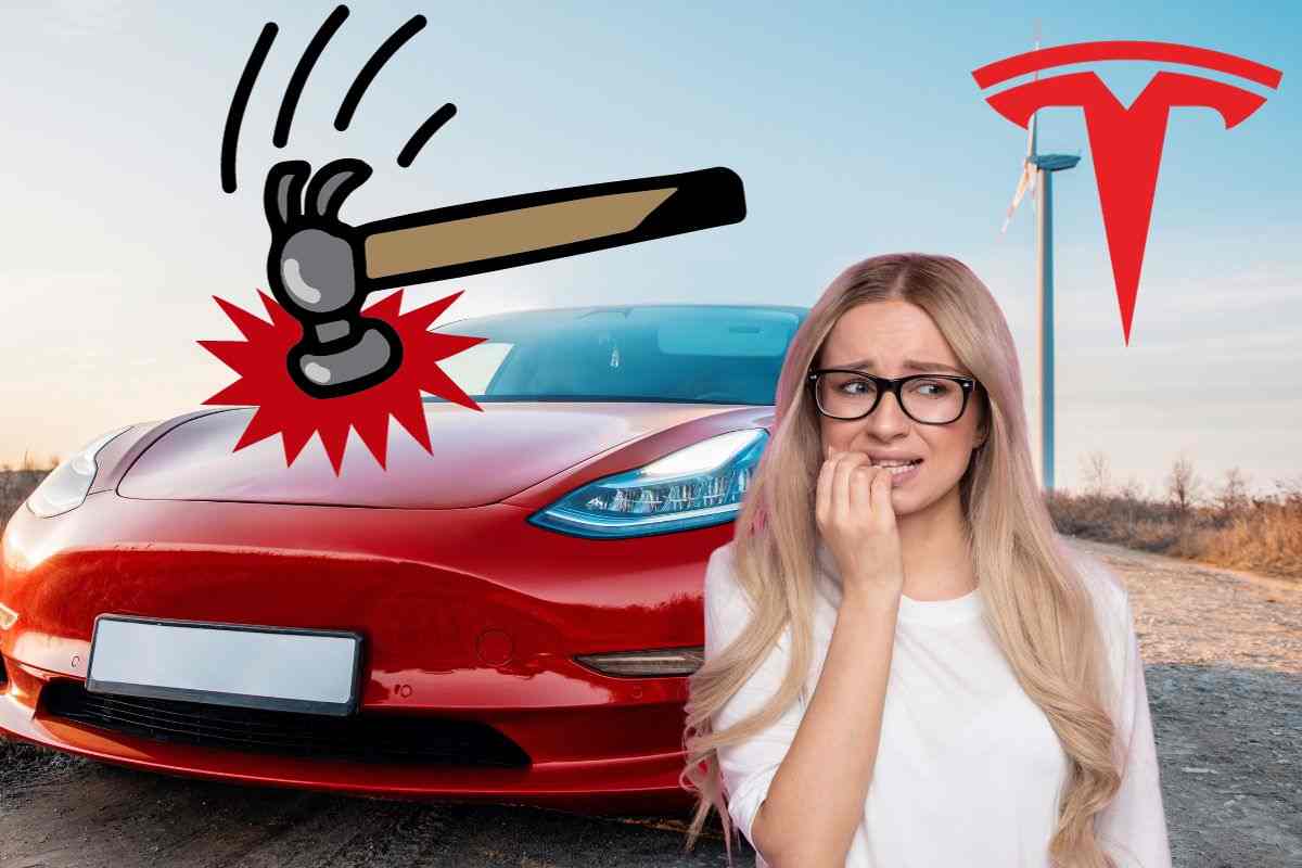 Tesla auto elettrica BYD Sixt Elon Musk